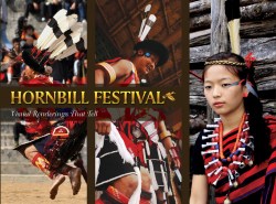 Hornbill Festival Visual Renderings That Tell